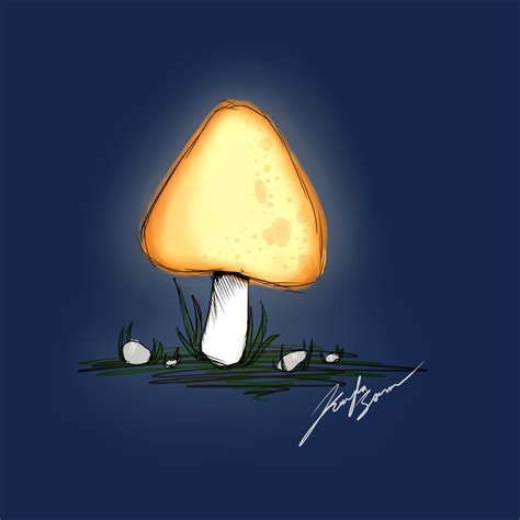 Mushroom By Kkaylium On Deviantart