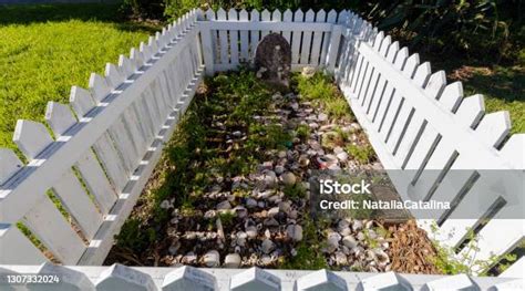 Grave Inside A White Picket Fence Stock Photo Download Image Now