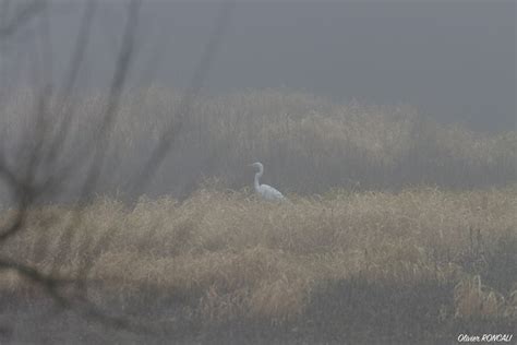 Ambiance mystérieuse au lac du Jaunay Olivier RONCALI Photographies