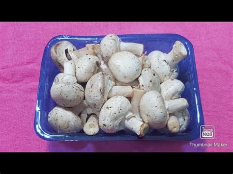 Mushroom Masala Recipe Ghar Me Banaye Bilkul Party Jaisa Swad Wala