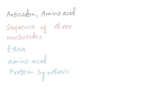 SOLVED: Explain the relationship between codons; ; anticodons and amino ...