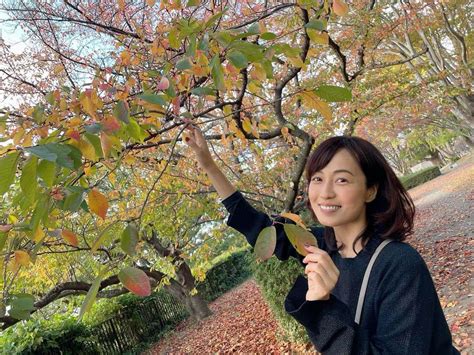 及川奈央さんのインスタグラム写真 及川奈央instagram「昨日は撮影終わりにお散歩しまして、紅葉の綺麗なスポットで猫に癒されました