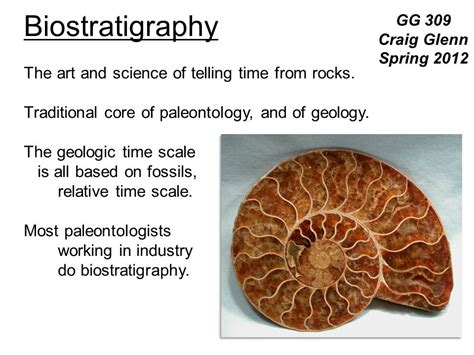 Biostratigraphy The Art And Science Of Telling Time From Rocks Ppt