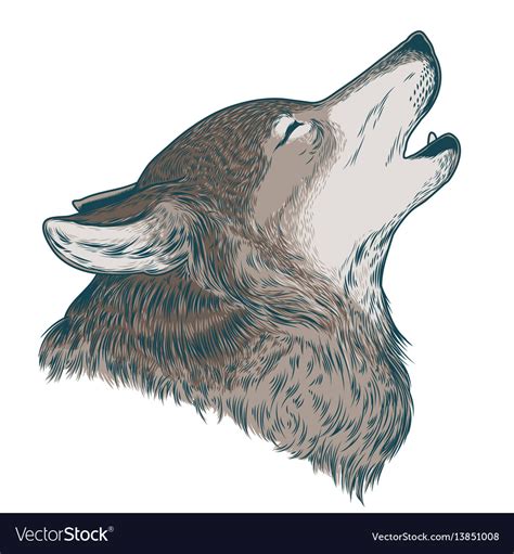 A howling wolf Royalty Free Vector Image - VectorStock