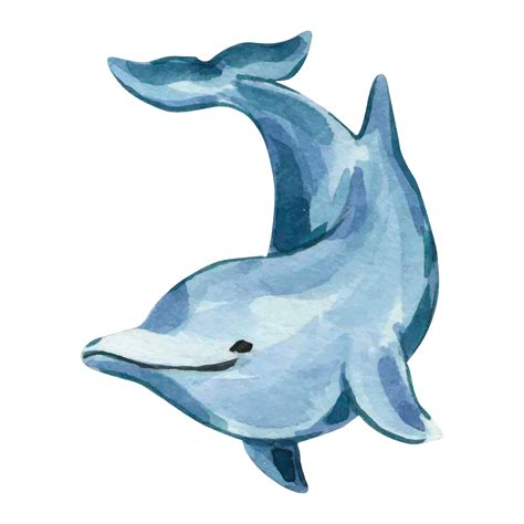 Desenhos De Golfinhos Realistas - Ilustração em aquarela de um golfinho azul golfinhos realistas do tema ...