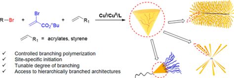 Site Specifically Initiated Controlled Living Branching Radical