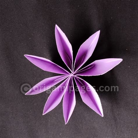 Fold An Easy Origami 8 Petal Flower