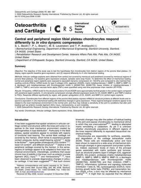 Pdf Central And Peripheral Region Tibial Plateau Chondrocytes Respond