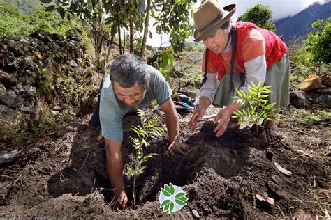 Pachamama Raymi | Afforestation on a large scale