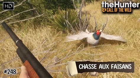 Thehunter Call Of The Wild Une Chasse Aux Faisans Au Calibre