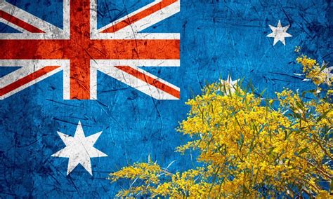 National Flower Of Australia (Helpful Content!) - Foreign Lingo