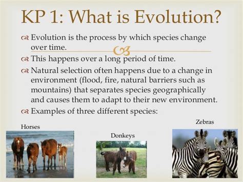 Natural selection ppt notes