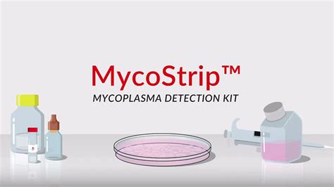 Mycostrip™ Mycoplasma Detection Kit Invivogen Youtube