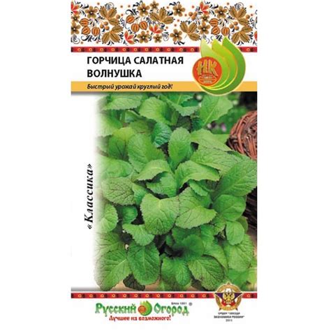 Купить Горчица салатная Волнушка - Семена в интернет магазине ...