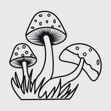 Fungi clipart images and royalty-free illustrations | Clipart.com ...