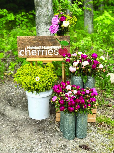 Leelanau’s newest cherry farmers laud farm diversification – Glen Arbor Sun