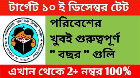 টেটের পরিবেশ প্রস্তুতি।।primary Tet Preparation 2023।।গুরুত্বপূর্ণ বছর