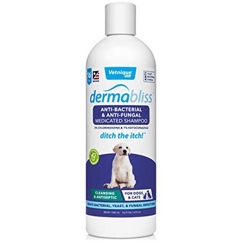 10 Best Dog Allergy Shampoo In 2022 – Plumbar Oakland