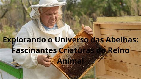 Descobrindo O Mundo Das Abelhas Uma Jornada Fascinante Pela Natureza