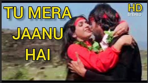 Tu Mera Jaanu Hai Hero 1983 Anuradha Paudwal Manhar Jackie