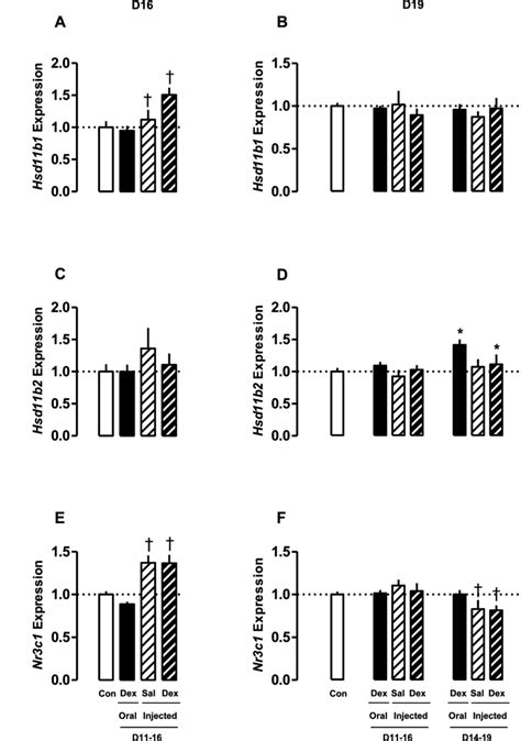 Relative Placental Expression Of Hsd B Hsd B And Nr C Genes