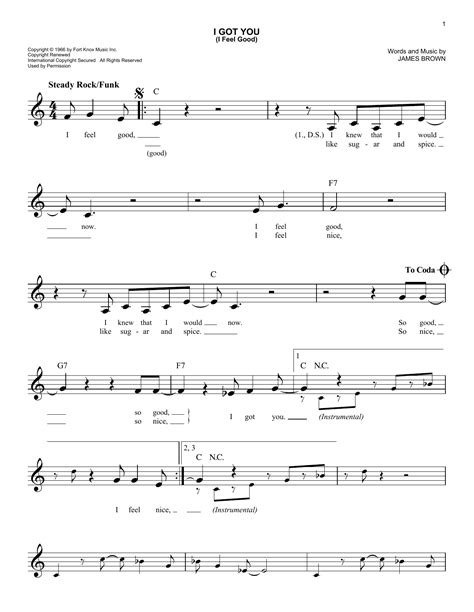 I Got You I Feel Good By James Brown Sheet Music For Easy Lead Sheet