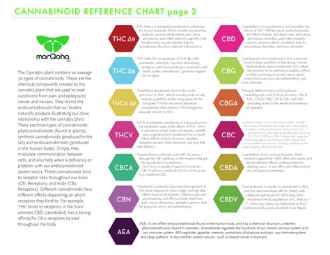 CBD vs CBN vs CBG vs CBC | Planet R.Y.O.