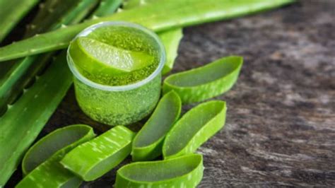 C Mo Detener La Ca Da Del Cabello Con Remedios Caseros