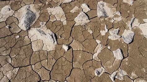 El Lago Se Secó Y Se Formaron Grietas En La Tierra Seca Las Huellas De