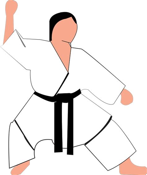 Los Diferentes Grados De Cinturones En Karate Shotokan Una Guía