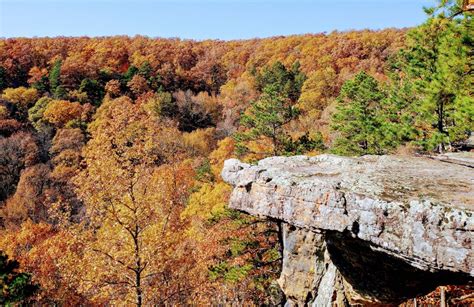 Ozark National Forest: see the area’s 6 best things to do