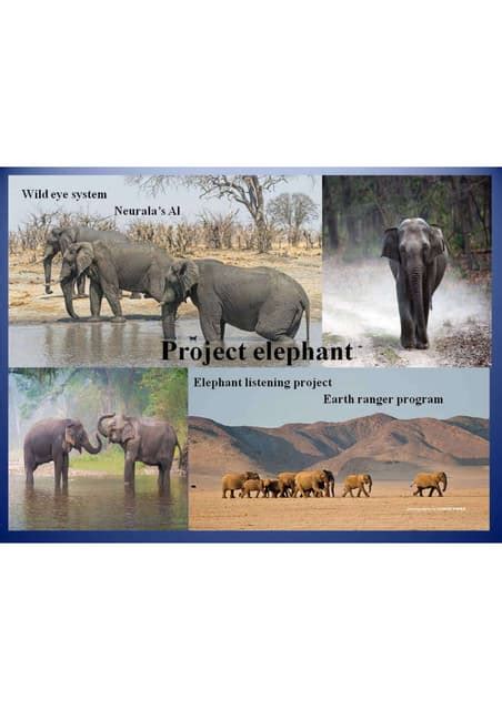 Save elephant.pdf