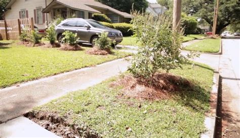 How to Style a Front Porch With Cohesive Landscaping and Decor | Redesign