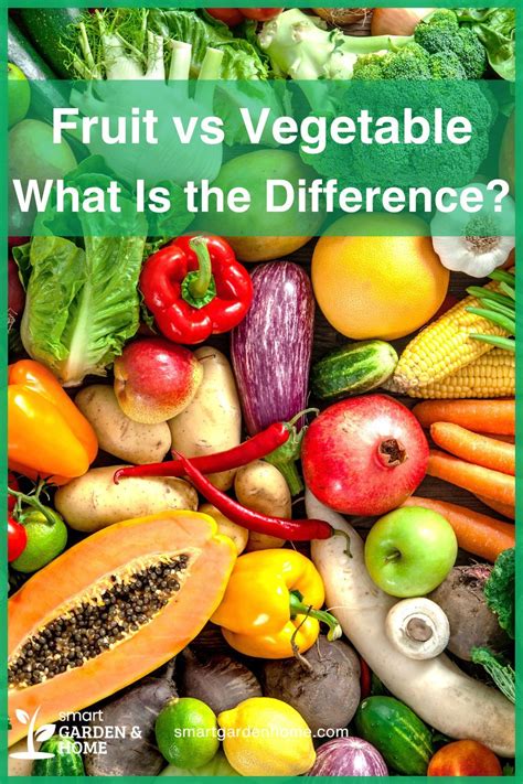 Fruit Vs Vegetable What Is The Difference Artofit