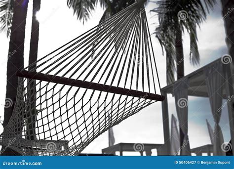 Hotel Resort Outdoor With Hammock Under Palm Trees Stock Image Image