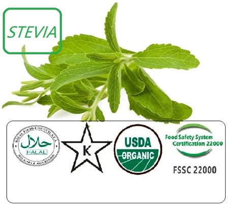 Stevia Leaf Extraction Steviol Glycosides - China Stevia and Stevia ...