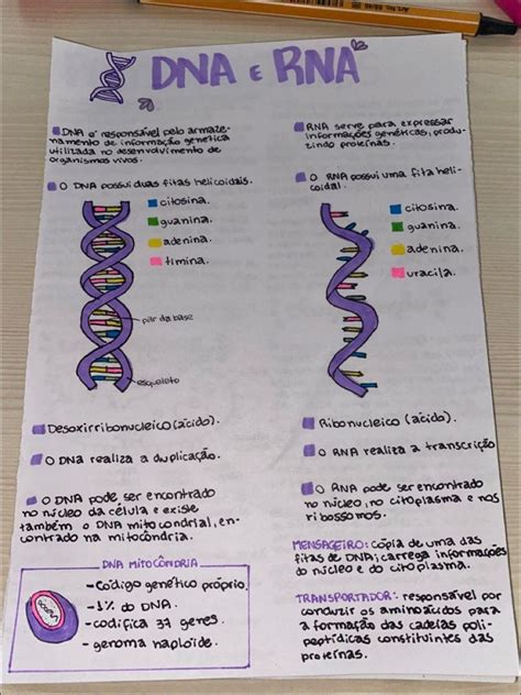 Mapa Mental Sobre Dna E Rna Braincp