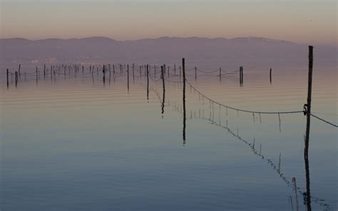 Trekking Al Lago Trasimeno Agriturismo La Casa Di Campagna