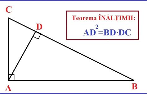 Teoreme N Triunghiul Dreptunghic Jitaruionelblog Pregatire Bac Si