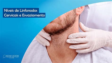 Níveis de Linfonodos Cervicais e Esvaziamento Cervical Dr Arthur