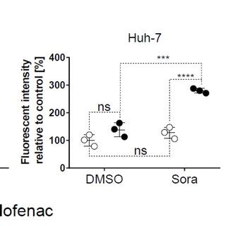 Sorafenib Diclofenac Cotreatment Increases Mitochondrial ROS Levels