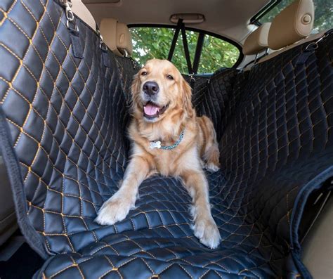 Guía para viajar con perro en coche I Consejos y trucos