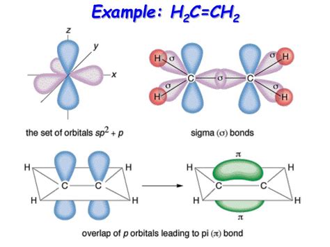 Ppt Base Pairing In Dna Powerpoint Presentation Free Download Id