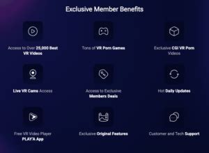 VRPorn Review Is It The Best VR Porn Collection