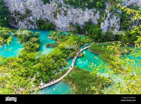 Les Lacs De Plitvice Croatie Cascades Et Sentier En Bois Du Parc National Des Lacs De Plitvice