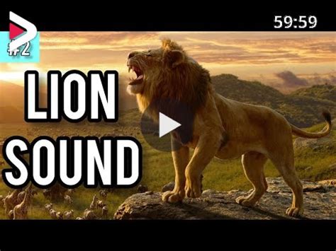 Lion Roar Sound Effect | Lion Sound - 2 | Free sound effects for you ...