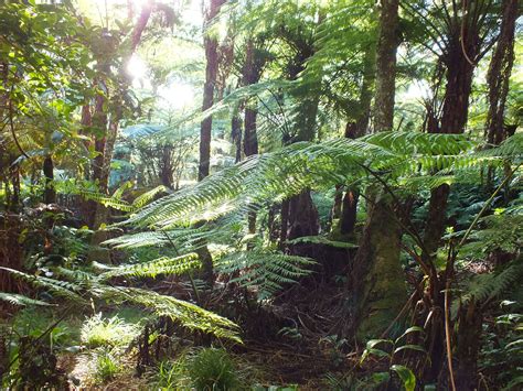 Hiking Ile de La Réunion – Adventures – Sabrina en Maarten