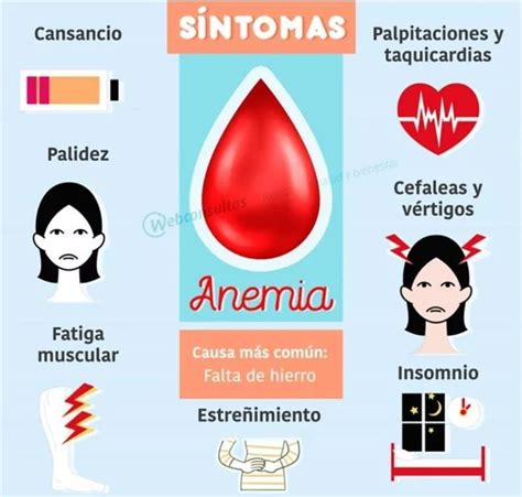 S Ntomas De Anemia Como Saber Si La Padeces La Gu A De Las Vitaminas