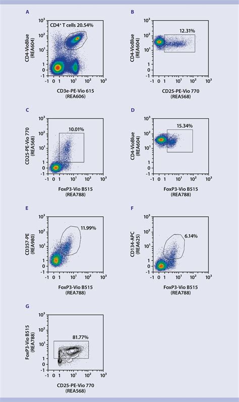 Immunophenotyping Mouse Regulatory T Cells Protocol Miltenyi