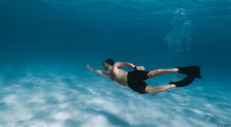 The Mammalian Diving Reflex in Humans - Dive Site Blog - Your Source of ...